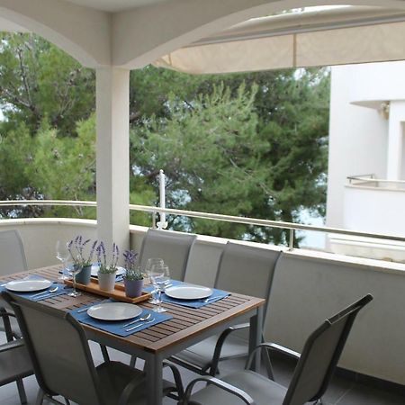סטארה נובליה Apartman M&M מראה חיצוני תמונה